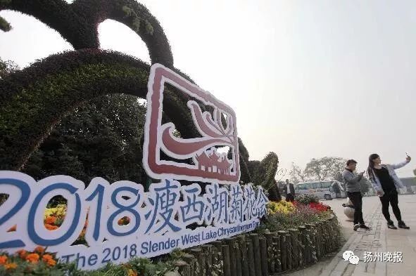 整顿开始!扬州校外培训机构进入集中整治阶段