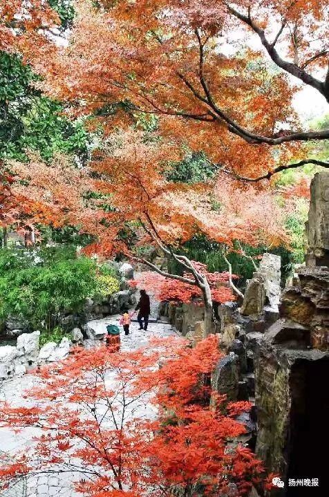 整顿开始!扬州校外培训机构进入集中整治阶段