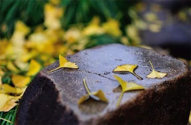 十句诗词话思乡:容颜岁岁愁边改,乡国时时梦里