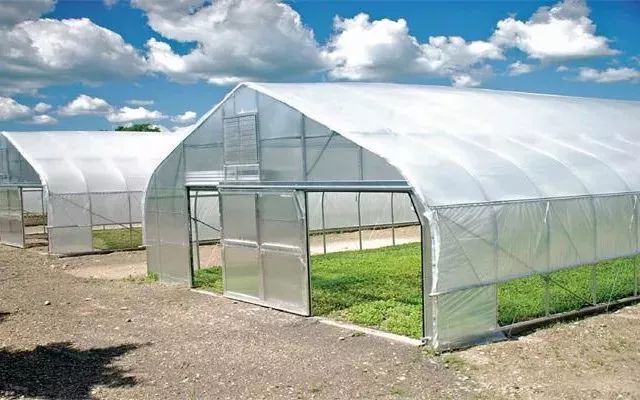 4大现代农业种植模式 13种栽培方式 你用的是哪种