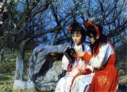 《红楼梦》主题思想这么多年来众说纷纭,贾宝