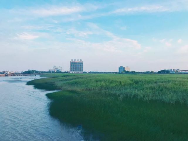 上海长兴岛旅游攻略美食(上海长兴岛有什么好吃的地方)