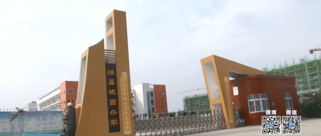 汉中哄抢橘子事件有了新进展!五人被拘!