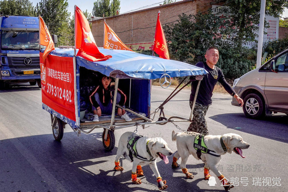 37岁男子拉"房车"徒步丽江,偶遇父女与2狗拉"房车"结伴行