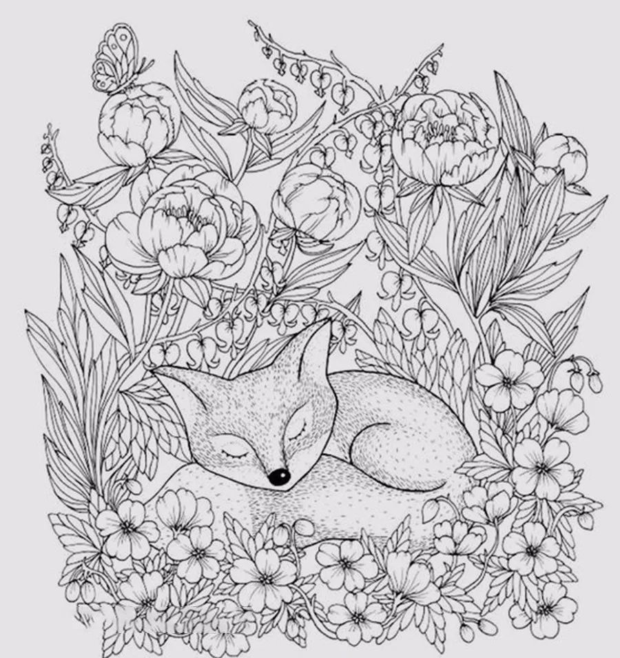 每天学一幅简笔画一支笔一张纸就能完成的线描画