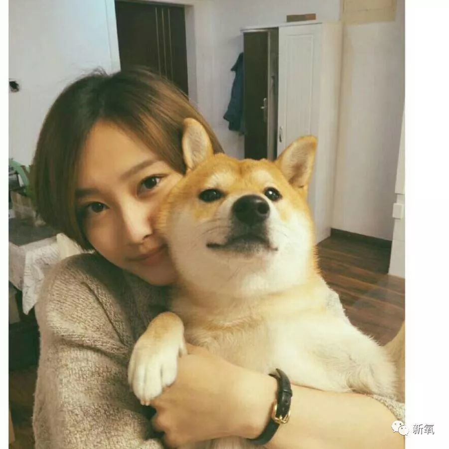王思聪的狗背lv算啥 这只花800万整形的狗 镶金牙 拉皮