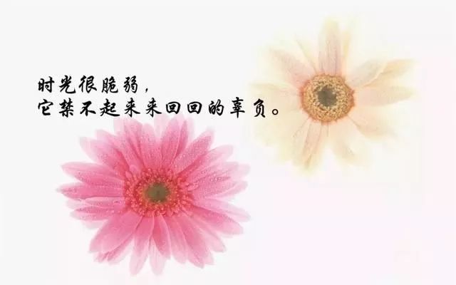 适合发朋友圈人生哲理语句 微信感悟人生的经典短语