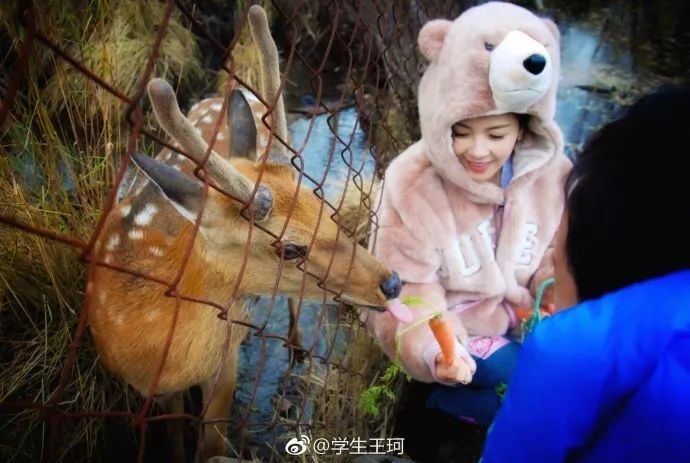 被刘涛素颜折服!与杨紫合照看不出大14岁!究竟