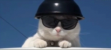 带着自己压箱底的装备 从四面八方赶来 崇山银杏路 共襄盛举 1 墨镜