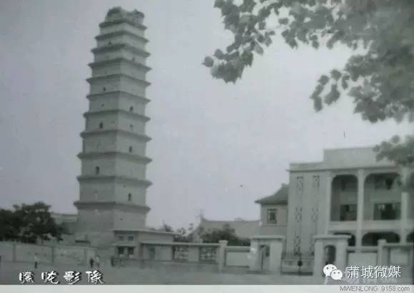 一位蒲城老人镜头下的珍贵老照片,值得珍藏!