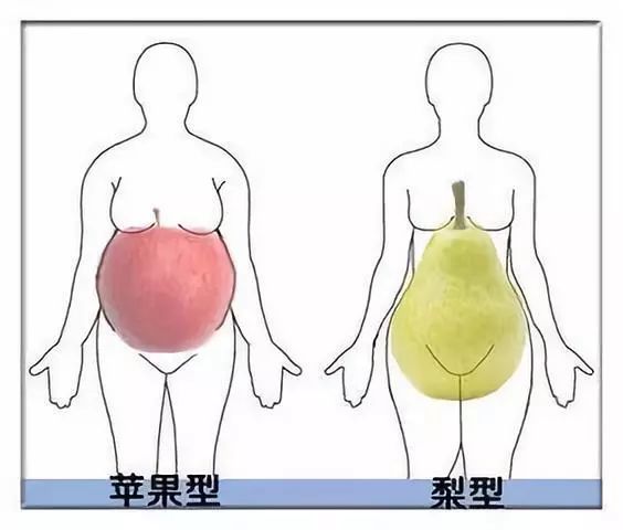 50 皮下脂肪女性