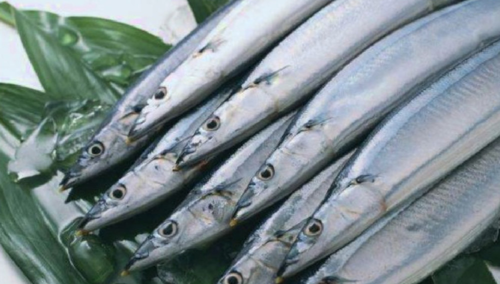 菜市场的活带鱼去哪了?今天告诉你原因,原来是