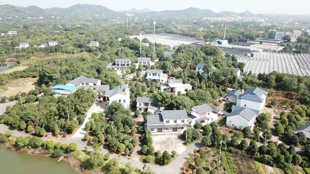 致敬改革开放40年 株洲人的家乡变化