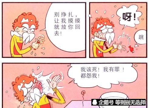 猫小乐 小衰 功夫熊猫 进老年舞蹈队 鱼缸洗手 捞金鱼