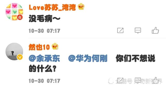 徐静波说华为手机是日本人研发的?网友的评论