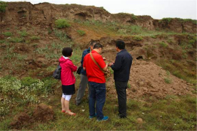 甘肃林家遗址出土"中华第一刀,划开了中国青铜史的序幕