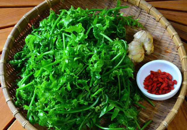 在人们的生活中,除了市场上常见的一些的蔬菜,其实还有很多天然野菜也