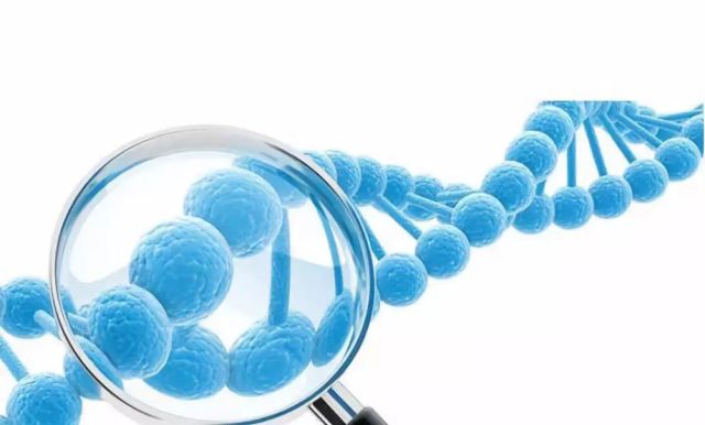 安吉丽娜·朱莉:让全球知道了基因检测有多么