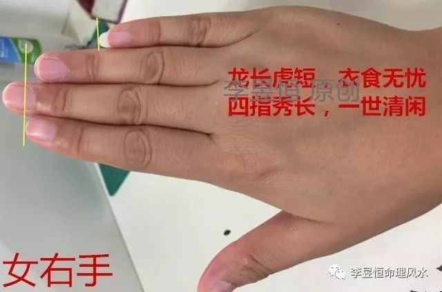 手相:手如锥形,一世清闲;手如伏龟,福禄绵长!