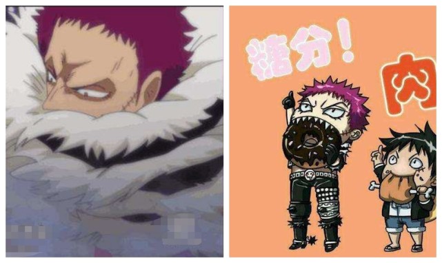 海贼王 那些你误解的果实能力者 卡二是超人系而非自然系