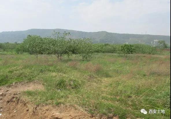 中粮地产32%溢价竞得灞桥纺织城78亩住宅地