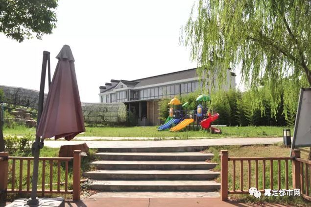 梦幻花海+银杏雨!嘉定新发现2处绝美秘境!