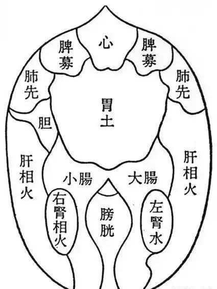 五臟分論五臟的滋生制約心腎相交五行生剋人體就像一座大鍋爐,各部件