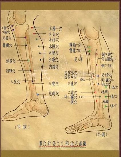 7,下三皇治糖尿病.針法與應用:針深五分至一寸.