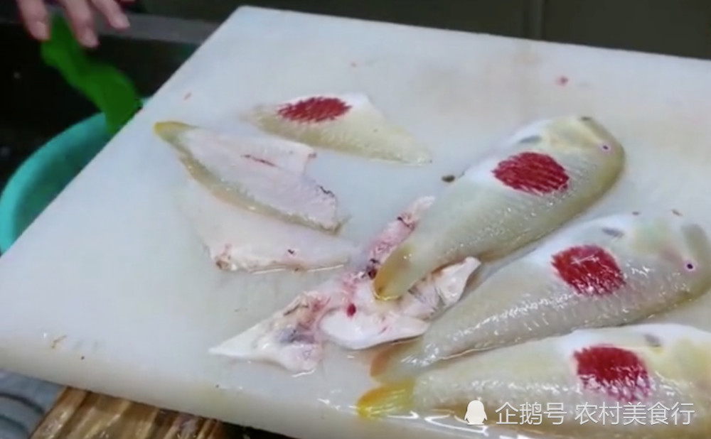 这种鱼长的像日本国旗,日本人却把它给吃了,网