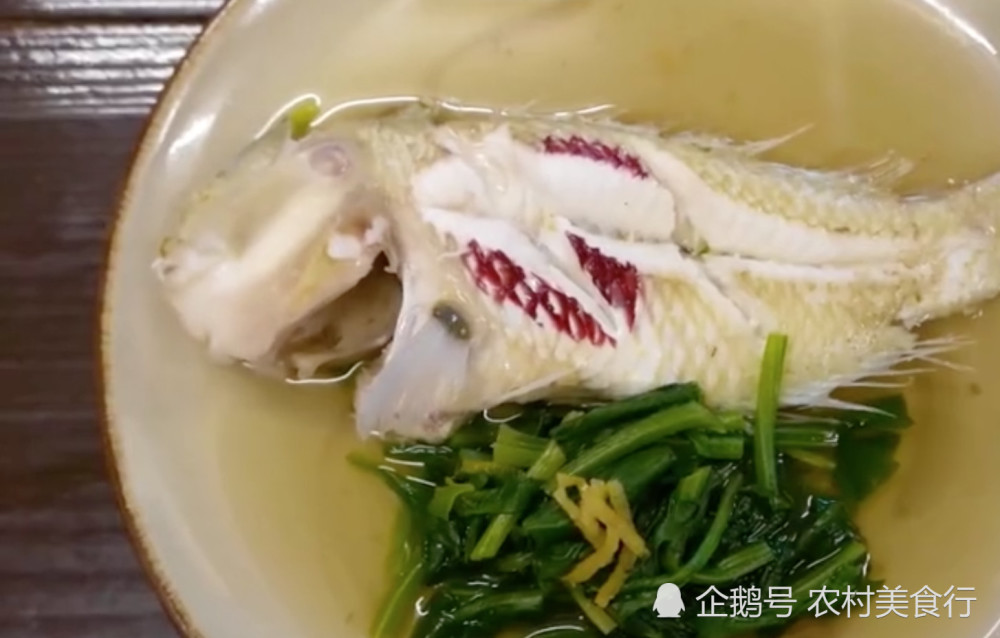这种鱼长的像日本国旗,日本人却把它给吃了,网