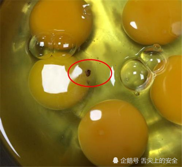 水煮鸡蛋剥皮后发现这种小黑点,还能不能吃?怪