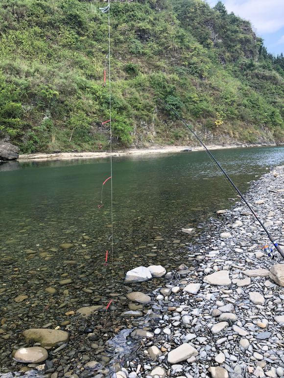 人间美食 珍稀的山涧马口鱼 野性鲜活 钓获后当场烧烤 马口鱼 烧烤 鱼线