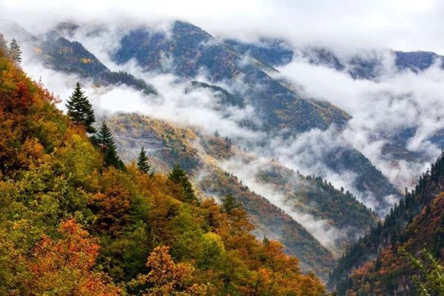 黑水縣,這個隱沒在岷山山脈與邛崍山脈交匯處,海拔2000多米的川西偏遠