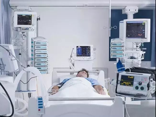 香蕉当饭哈密瓜作汤 小伙晚餐只吃水果,一个