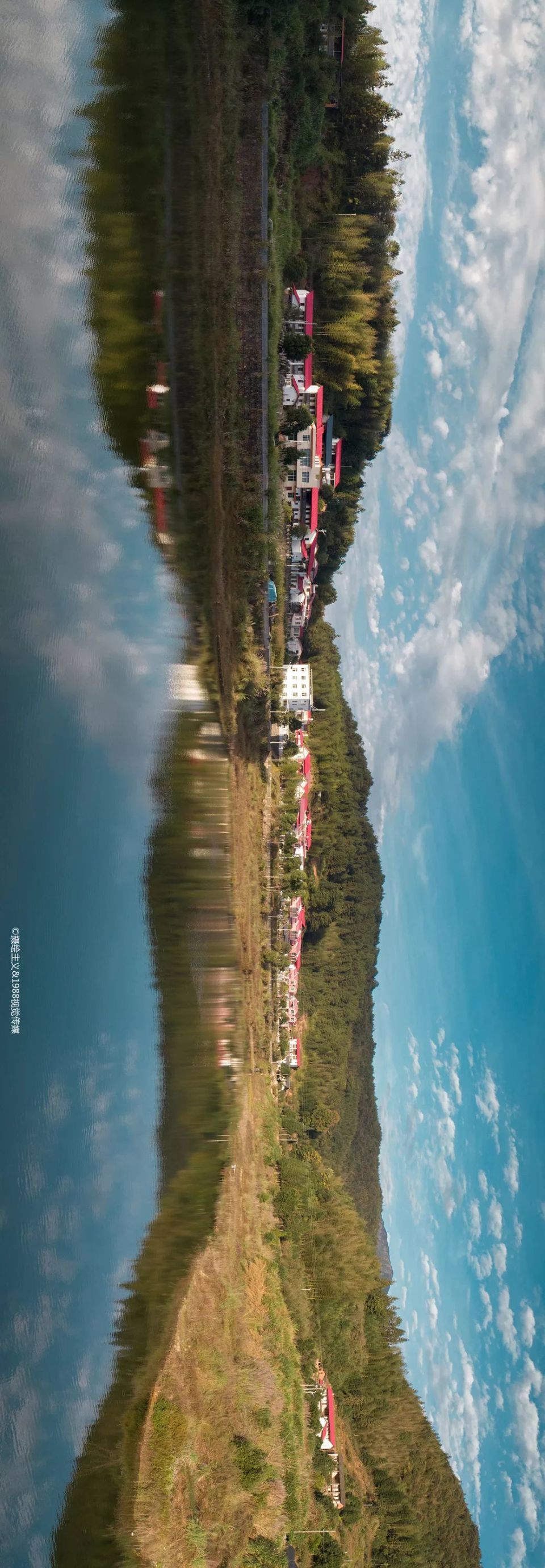 钟炎生新作:武平东留秋景喜人 渐浓声色写尽人间值得!