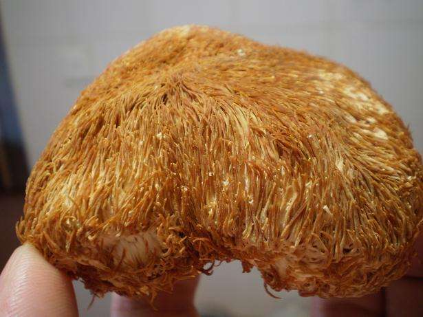 脚底老出汗,以为是肾虚?那是身体发出的疾病