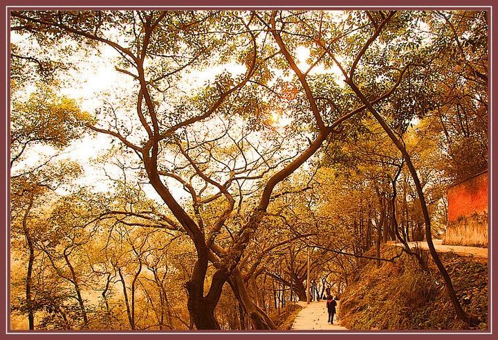 重庆爬山扫黄最强攻略,莫辜负周末大好时光!