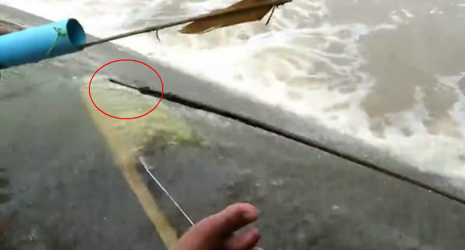 大水淹没村庄,农村少年自制弓箭捕鱼,却遭遇食