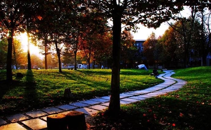 这四所大学身份普通,却有全国前三的学科实力