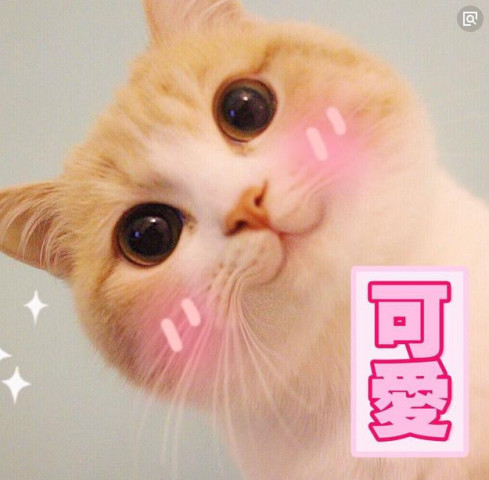 女主播赛高酱直播,被土豪赏20万,回来后脖子发