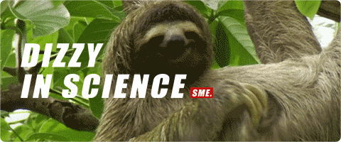 已授权,谢绝二次转载,如有需要请联系原作者 如果树懒宝宝会说话