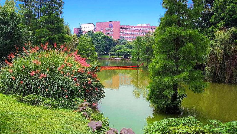 教育部高教司司长说,对不起良心的专业该停办