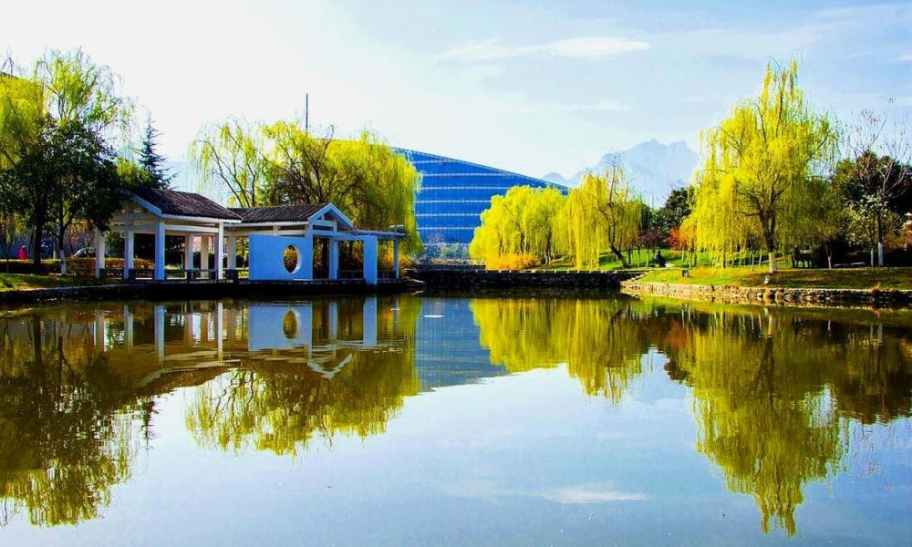 教育部高教司司长说,对不起良心的专业该停办