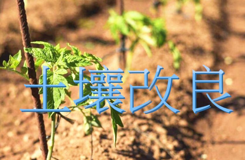 含 菌 肥料对土壤改良的好处 粘土 砂土同可使用