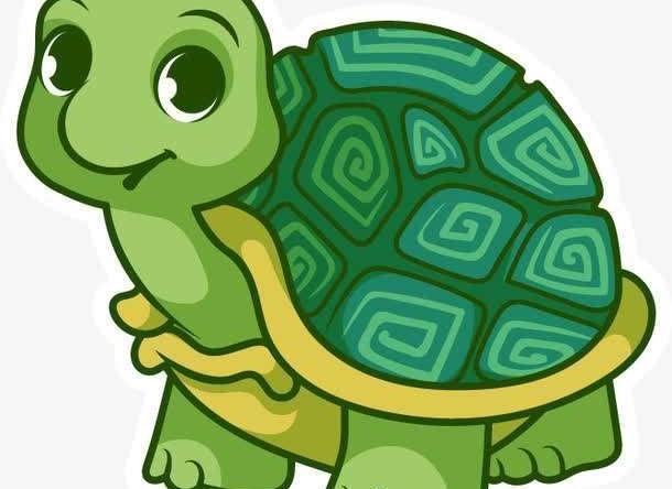 12星座都适合养什么宠物,水瓶座的居然是!