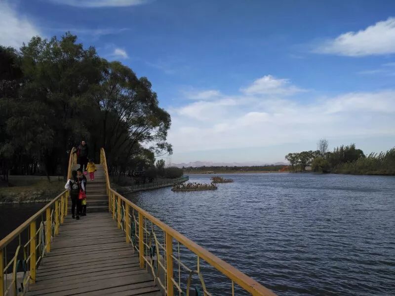 巨龜苑旅遊區先後被評為國家aaaa級景區,全國農業旅遊示範點,石家莊市