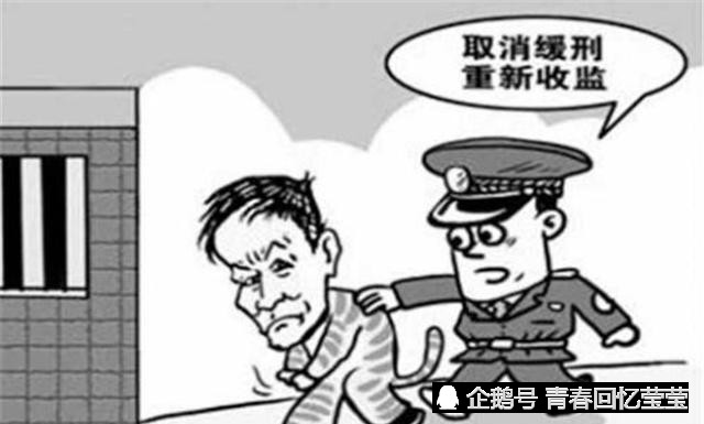 法官说的有期徒刑10年和缓刑2年是啥意思