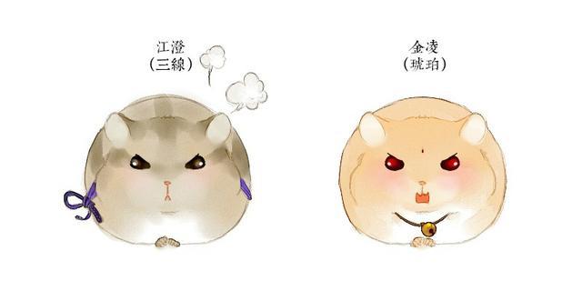 魔道祖师:当众人变成仓鼠后,金凌超可爱,而他却变身白衣绅士