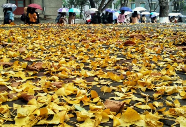 再见,济南军区总医院!这四大医院合并了…