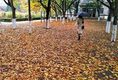 再见,济南军区总医院!这四大医院合并了…